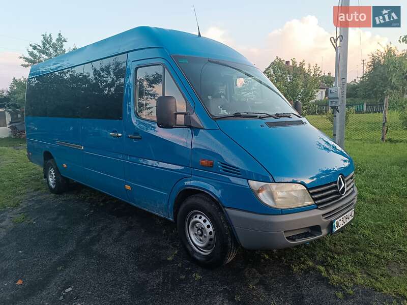 Микроавтобус Mercedes-Benz Sprinter 2000 в 