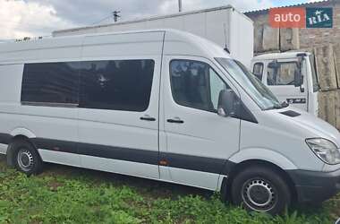 Микроавтобус Mercedes-Benz Sprinter 2007 в Лубнах