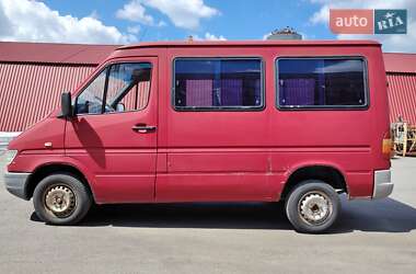 Грузопассажирский фургон Mercedes-Benz Sprinter 1996 в Киеве