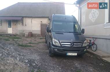 Мікроавтобус Mercedes-Benz Sprinter 2009 в Бережанах
