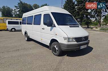 Мікроавтобус Mercedes-Benz Sprinter 1997 в Дніпрі