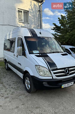Микроавтобус Mercedes-Benz Sprinter 2009 в Ивано-Франковске