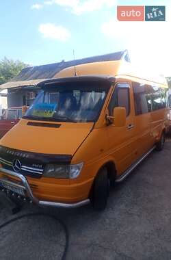 Микроавтобус Mercedes-Benz Sprinter 1995 в Днепре