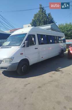 Другие автобусы Mercedes-Benz Sprinter 2003 в 