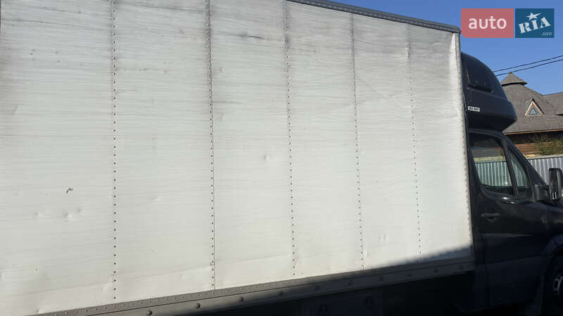 Вантажний фургон Mercedes-Benz Sprinter 2009 в Тячеві
