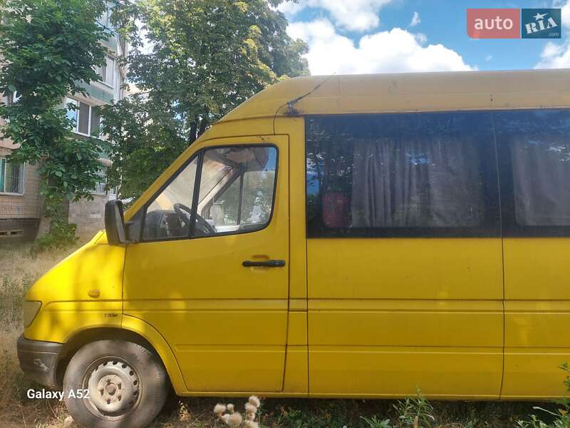 Микроавтобус Mercedes-Benz Sprinter 1996 в Кривом Роге