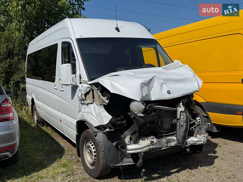 Грузопассажирский фургон Mercedes-Benz Sprinter 2014 в Стрые