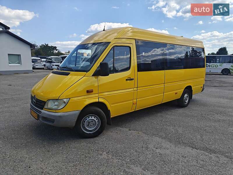 Мікроавтобус Mercedes-Benz Sprinter 2004 в Дніпрі