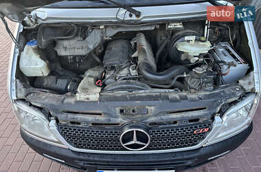 Грузопассажирский фургон Mercedes-Benz Sprinter 2006 в 