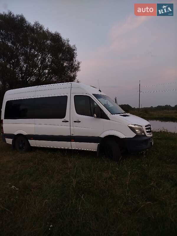 Микроавтобус Mercedes-Benz Sprinter 2013 в Калиновке