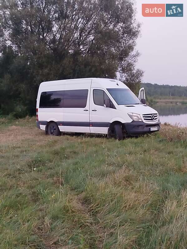 Микроавтобус Mercedes-Benz Sprinter 2013 в Калиновке