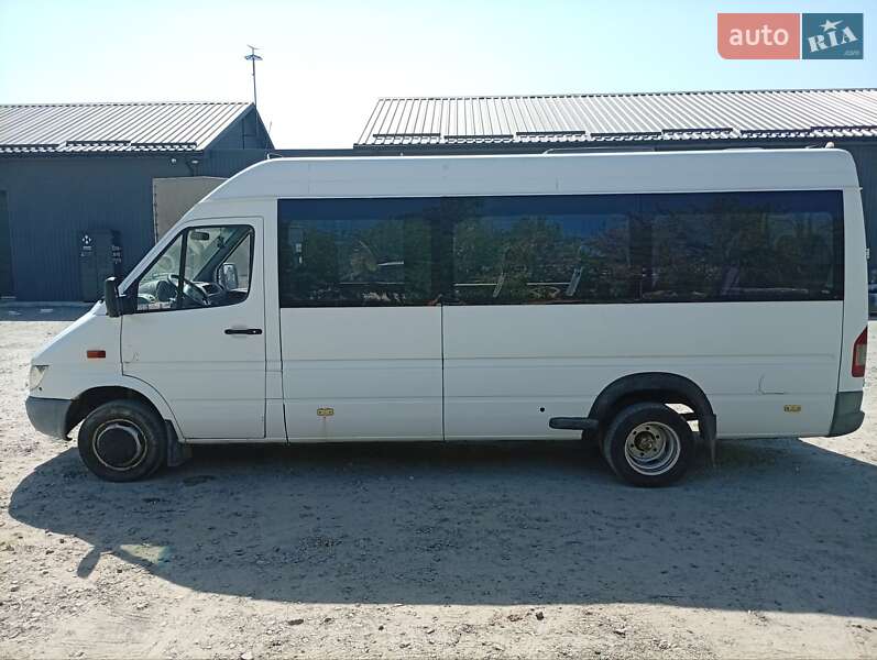 Мікроавтобус Mercedes-Benz Sprinter 2004 в Дніпрі