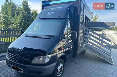 Для перевезення тварин Mercedes-Benz Sprinter 2002 в Бориславі