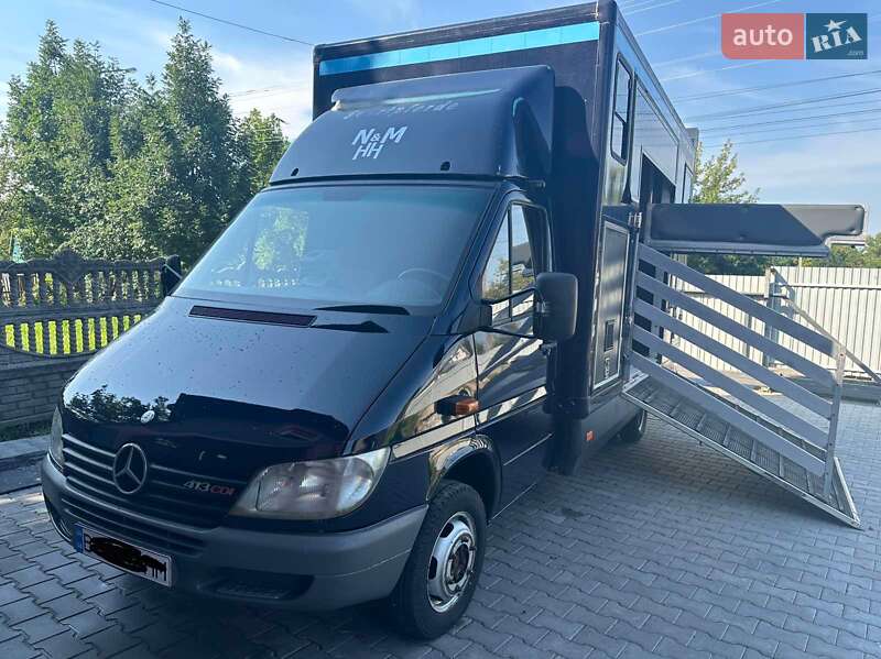 Mercedes-Benz Sprinter 2002