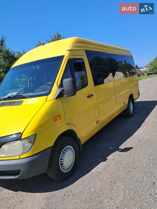 Микроавтобус Mercedes-Benz Sprinter 2003 в Хусте