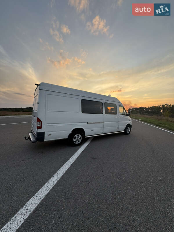Мікроавтобус Mercedes-Benz Sprinter 1996 в Павлограді