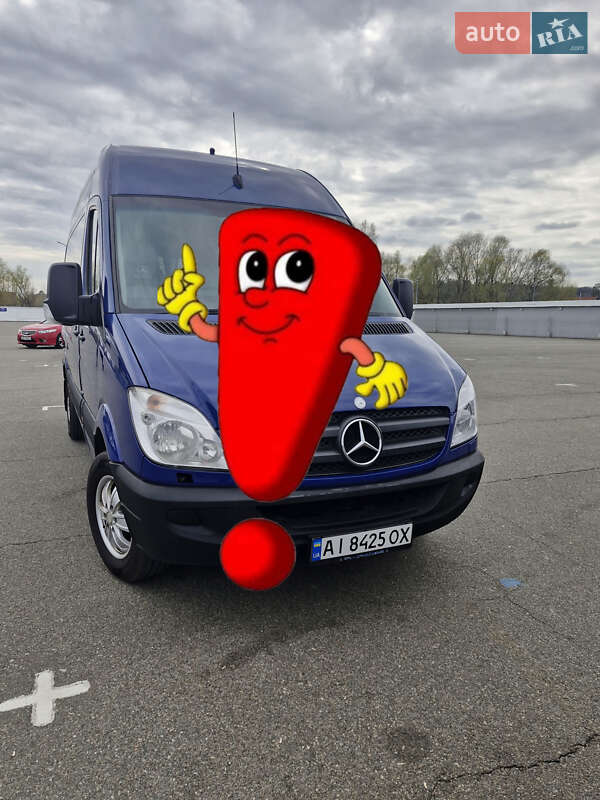 Микроавтобус Mercedes-Benz Sprinter 2013 в 