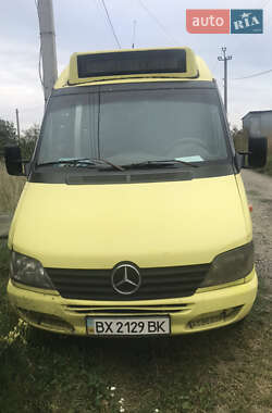 Микроавтобус Mercedes-Benz Sprinter 2002 в Хмельницком