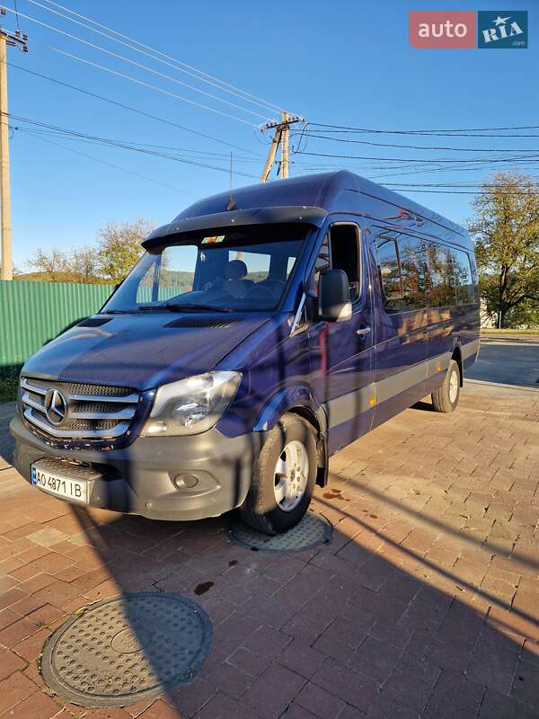 Микроавтобус Mercedes-Benz Sprinter 2009 в Тячеве
