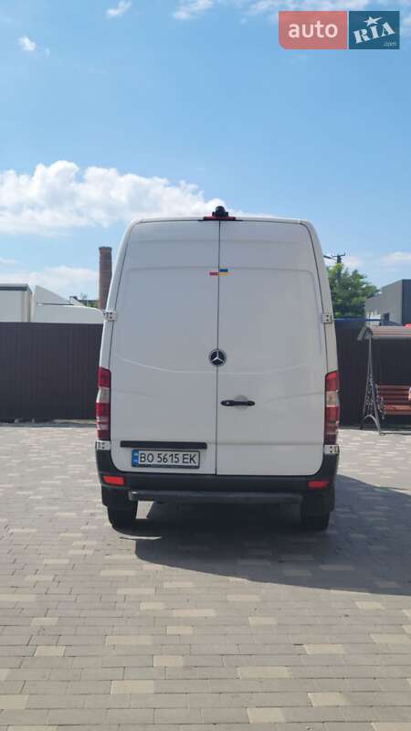 Мікроавтобус Mercedes-Benz Sprinter 2009 в Бучачі