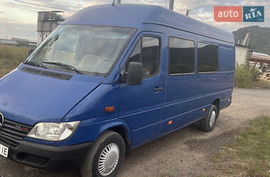 Микроавтобус Mercedes-Benz Sprinter 2002 в Ужгороде