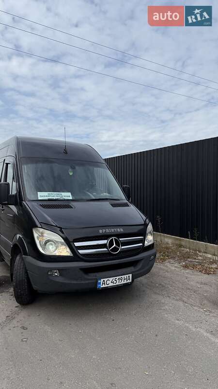 Микроавтобус Mercedes-Benz Sprinter 2010 в Березному