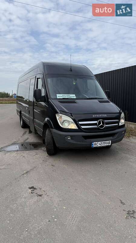Микроавтобус Mercedes-Benz Sprinter 2010 в Березному