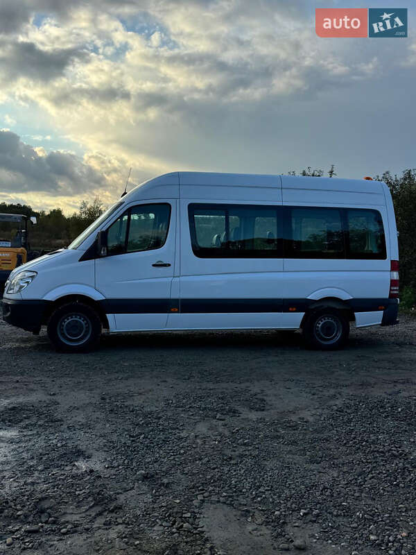 Грузопассажирский фургон Mercedes-Benz Sprinter 2010 в Недобоевцах фото 29 Грузопассажирский фургон Mercedes-Benz Sprinter 2010 в Недобоевцах