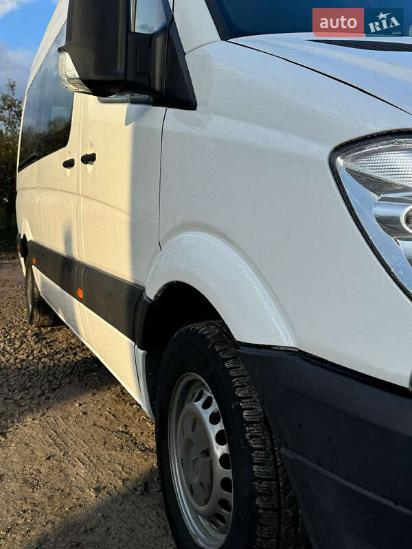 Грузопассажирский фургон Mercedes-Benz Sprinter 2010 в Недобоевцах фото 36 Грузопассажирский фургон Mercedes-Benz Sprinter 2010 в Недобоевцах