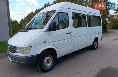 Грузопассажирский фургон Mercedes-Benz Sprinter 1997 в Городенке