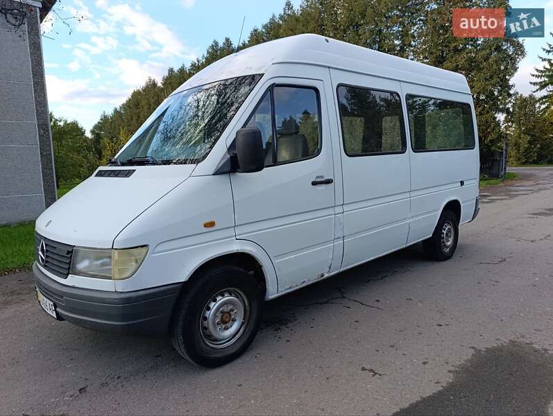 Грузопассажирский фургон Mercedes-Benz Sprinter 1997 в 