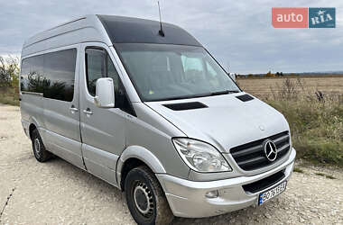 Микроавтобус Mercedes-Benz Sprinter 2006 в 