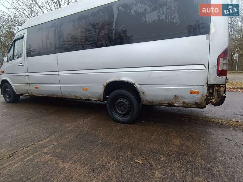 Микроавтобус Mercedes-Benz Sprinter 2003 в Бирках фото 8 Микроавтобус Mercedes-Benz Sprinter 2003 в Бирках