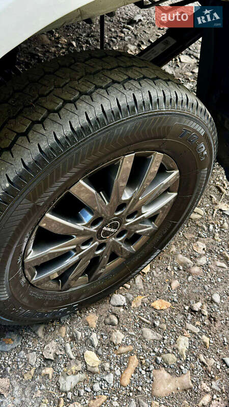 Інші вантажівки Mercedes-Benz Sprinter 2019 в Міжгір'ї