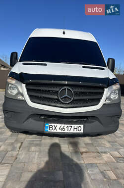 Грузовой фургон Mercedes-Benz Sprinter 2013 в Врадиевке