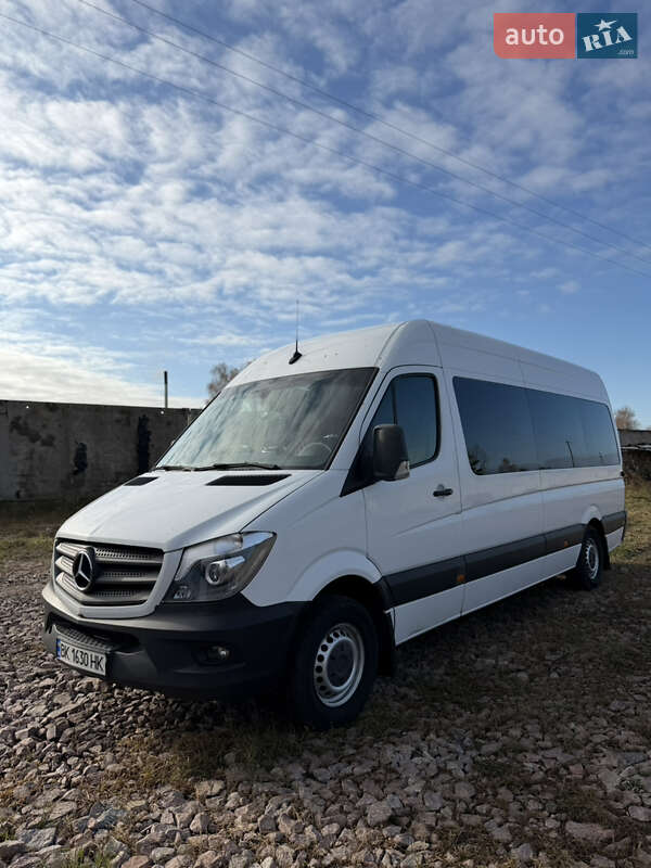 Микроавтобус Mercedes-Benz Sprinter 2017 в Березному