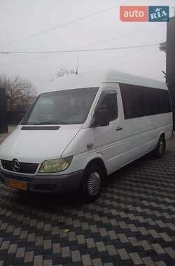 Микроавтобус Mercedes-Benz Sprinter 2003 в Николаеве