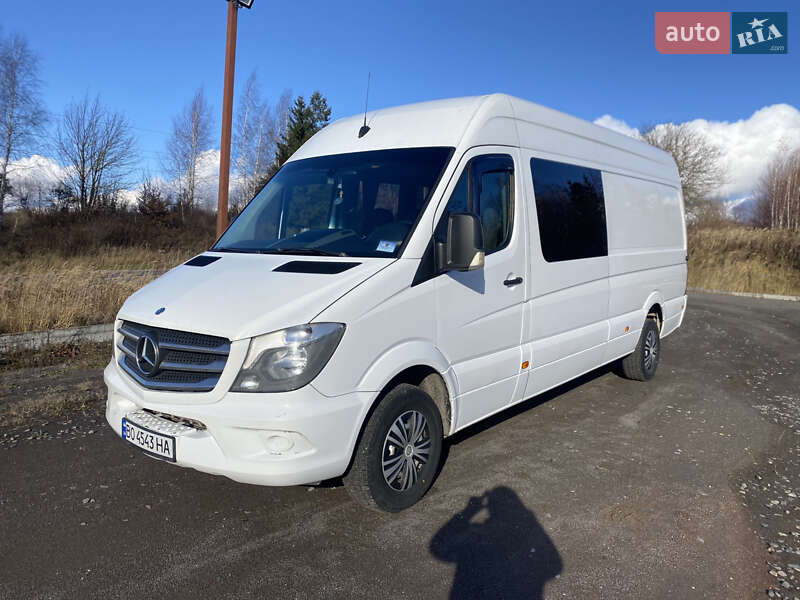 Мікроавтобус Mercedes-Benz Sprinter 2014 в Кременці