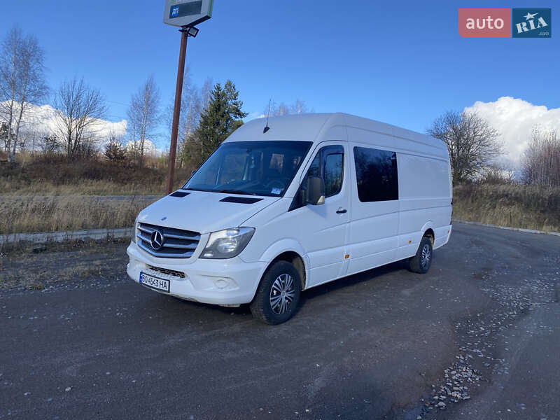 Мікроавтобус Mercedes-Benz Sprinter 2014 в Кременці