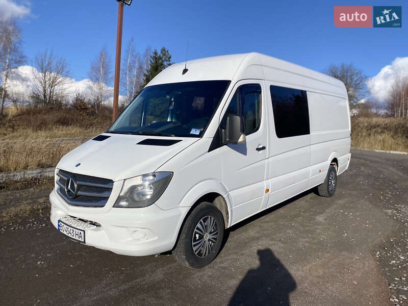 Мікроавтобус Mercedes-Benz Sprinter 2014 в Кременці
