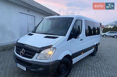 Минивэн Mercedes-Benz Sprinter 2013 в Черновцах