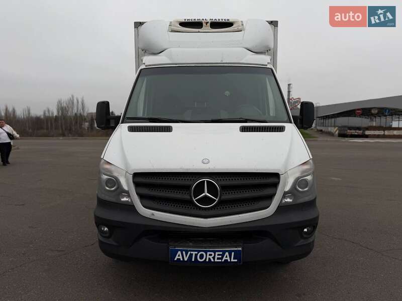 Другие грузовики Mercedes-Benz Sprinter 2014 в Кривом Роге