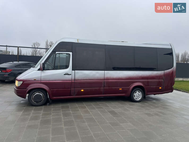 Микроавтобус Mercedes-Benz Sprinter 1999 в Житомире