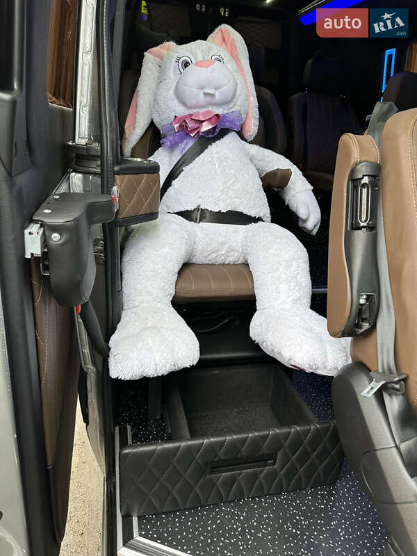 Микроавтобус Mercedes-Benz Sprinter 2018 в Житомире