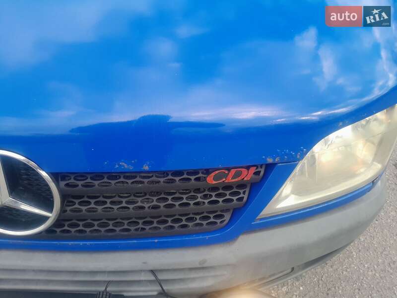 Мінівен Mercedes-Benz Sprinter 2004 в Олександрії
