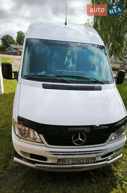 Минивэн Mercedes-Benz Sprinter 2004 в Гадяче