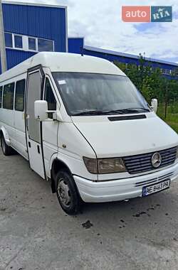 Городской автобус Mercedes-Benz Sprinter 1996 в Кривом Роге