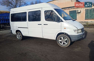 Мінівен Mercedes-Benz Sprinter 2000 в Павлограді