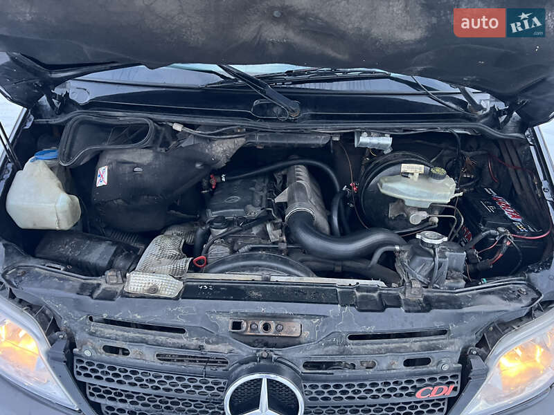 Минивэн Mercedes-Benz Sprinter 2005 в Коломые