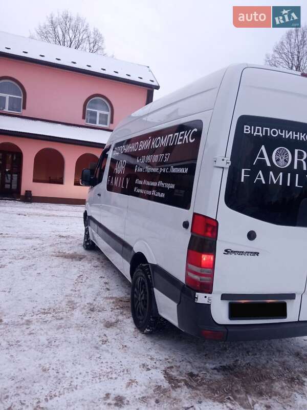 Минивэн Mercedes-Benz Sprinter 2006 в Самборе